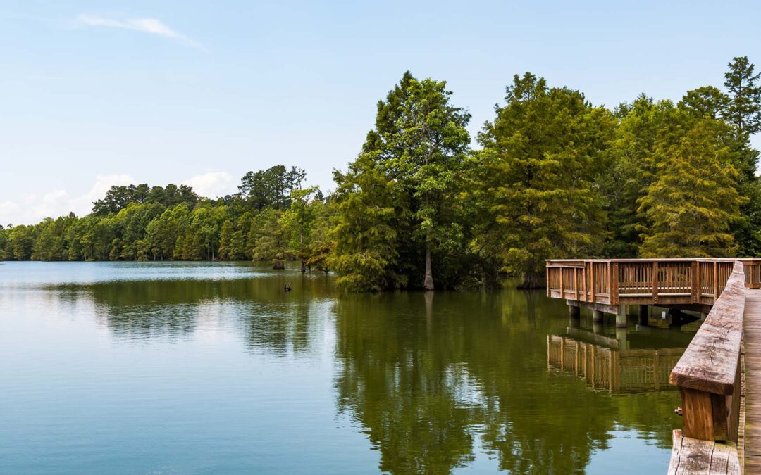River Lake